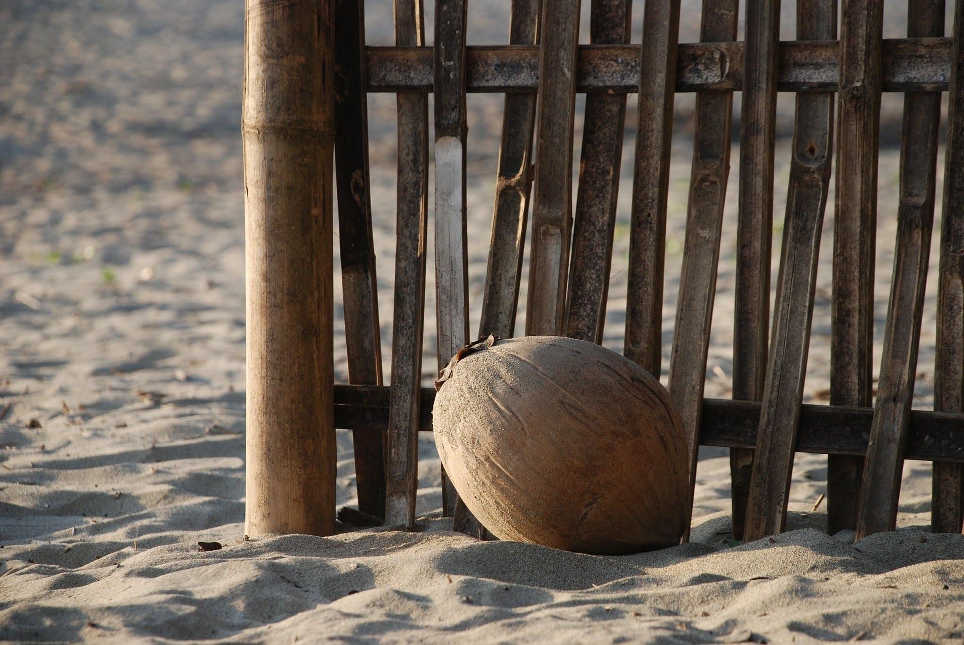 Adrift —Lavender Driftwood and Sea Minerals