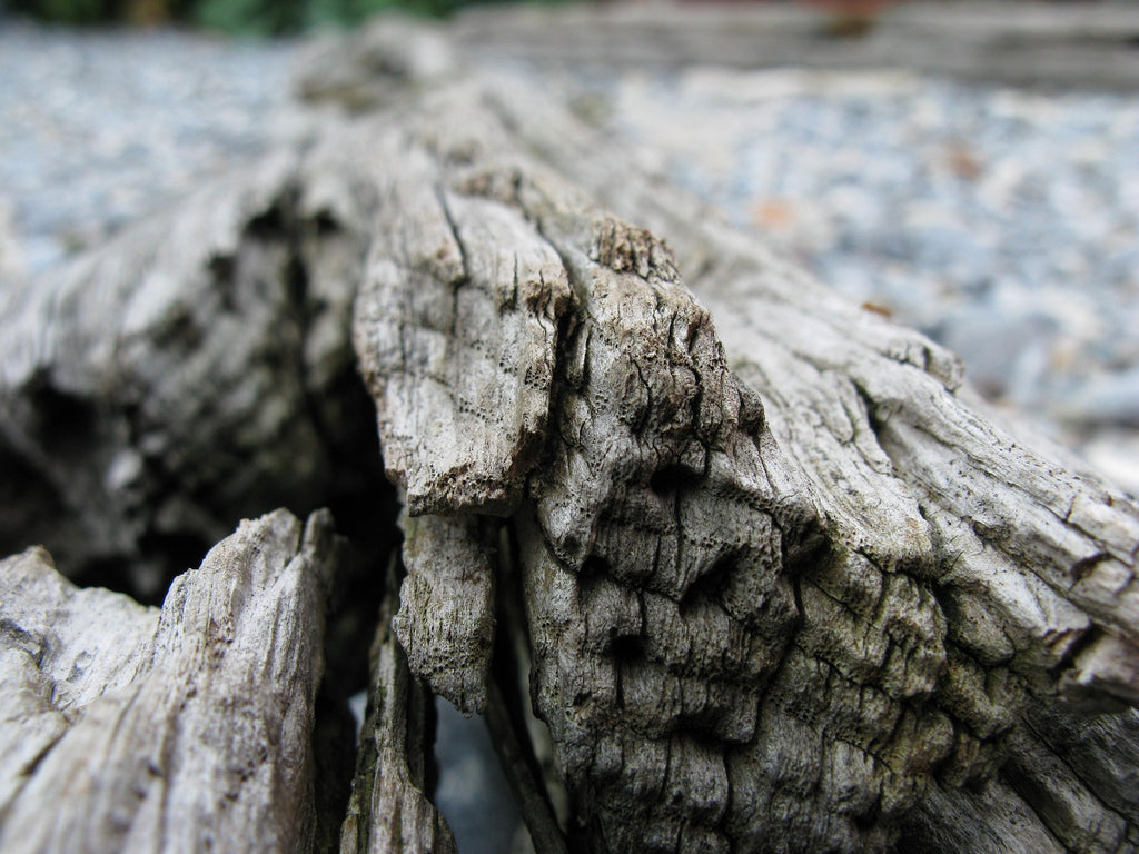 Adrift —Lavender Driftwood and Sea Minerals