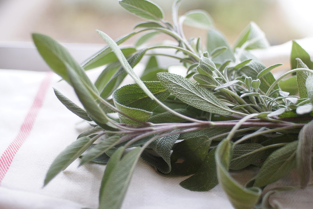 Corduroy Dreams — Sage, Amber & Earth Ritual Fragrance
