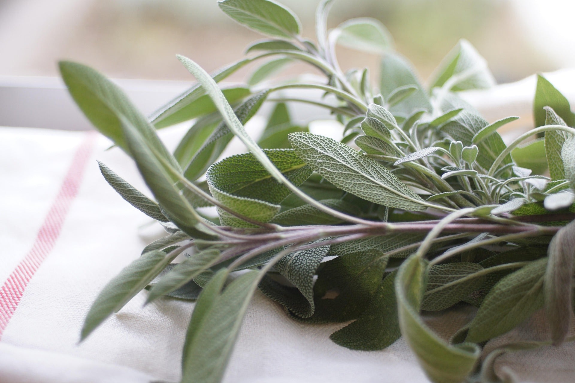Corduroy Dreams — Sage, Amber & Earth Ritual Fragrance