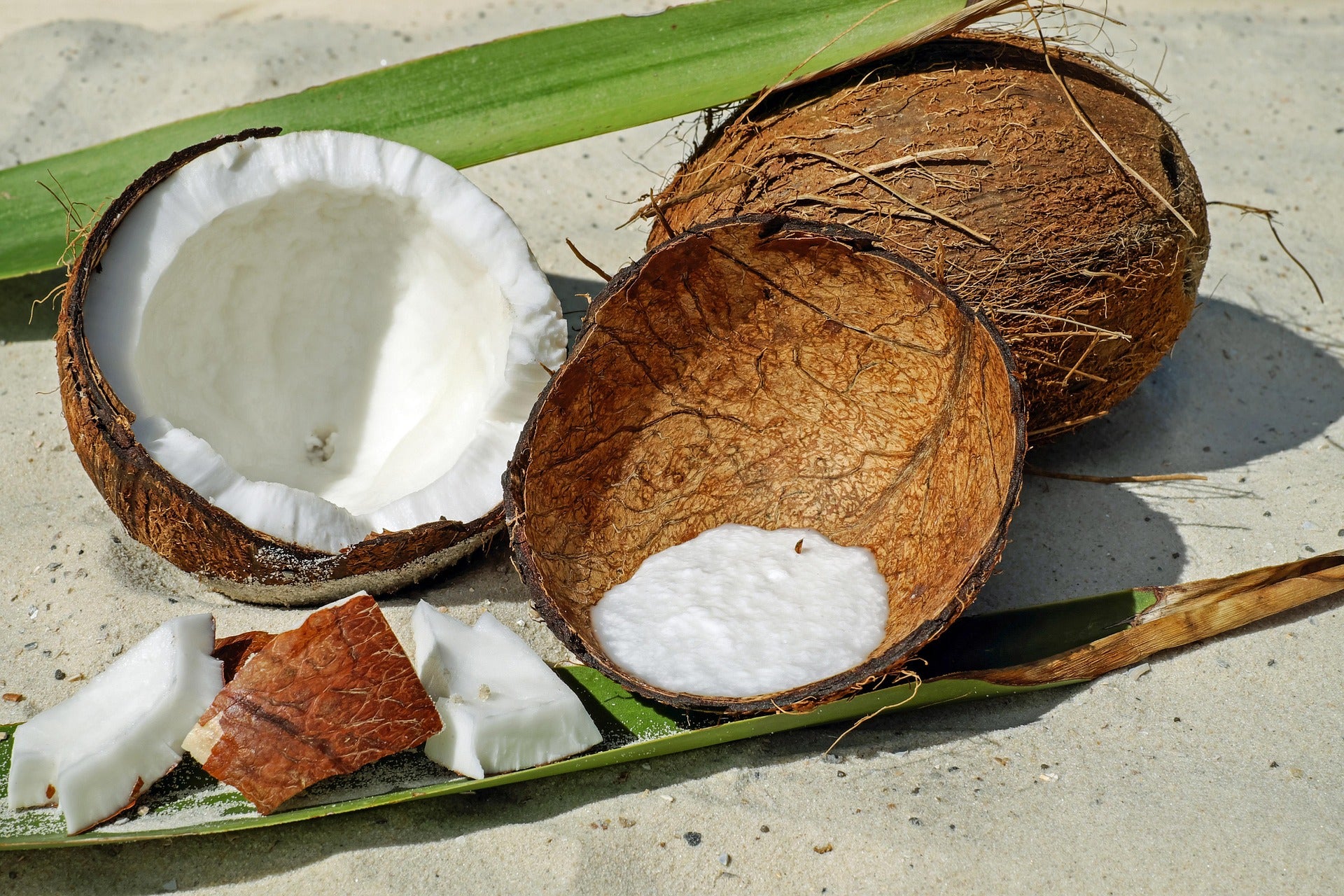 Gear Adrift - Coconut Sandalwood Fragrance