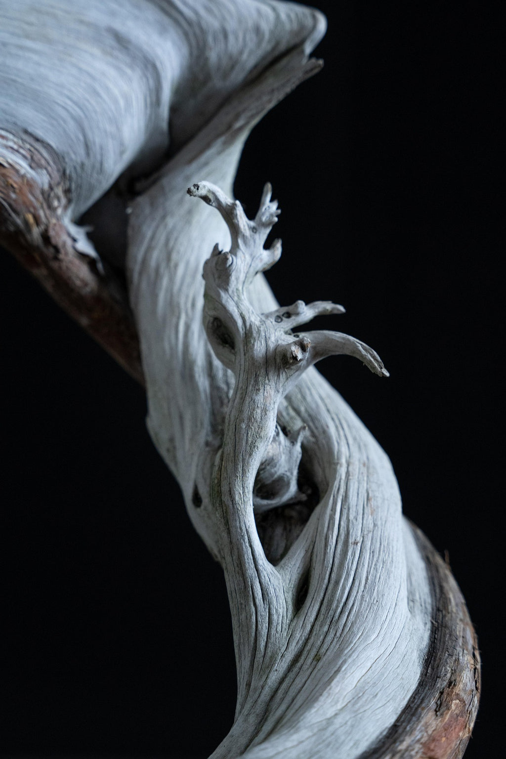 Cypress Suede — Hinoki Cypress Blend