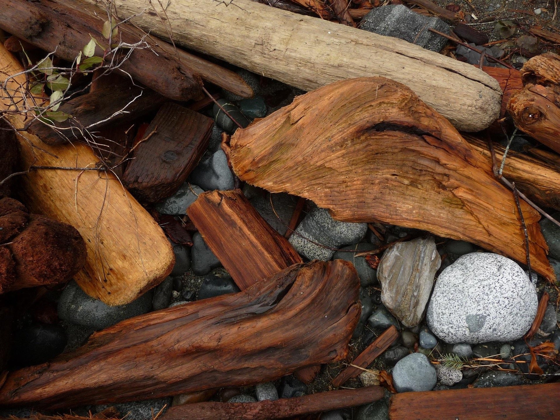 Adrift —Lavender Driftwood and Sea Minerals