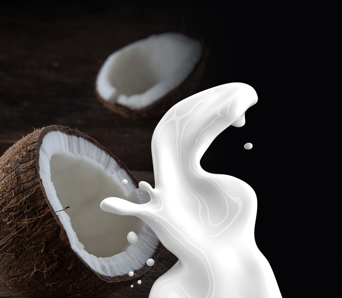 Coquito — Spiced Vanilla Rum Fragrance