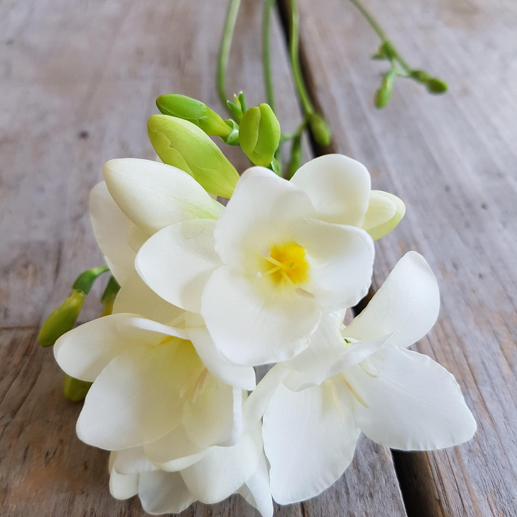 Very Respectfully — Coconut Milk, Sandalwood & Freesia Candle