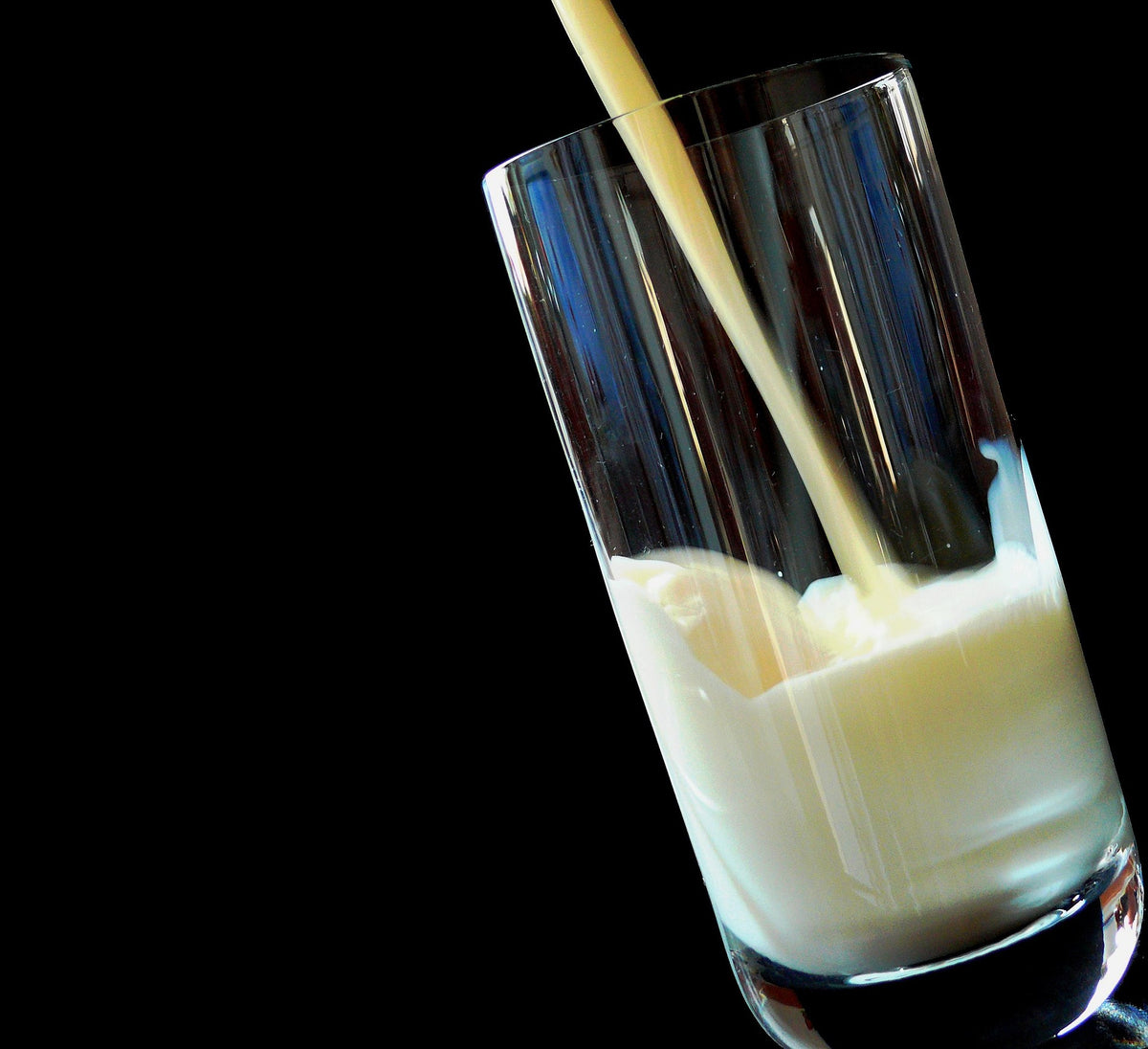 Coquito — Spiced Vanilla Rum Fragrance