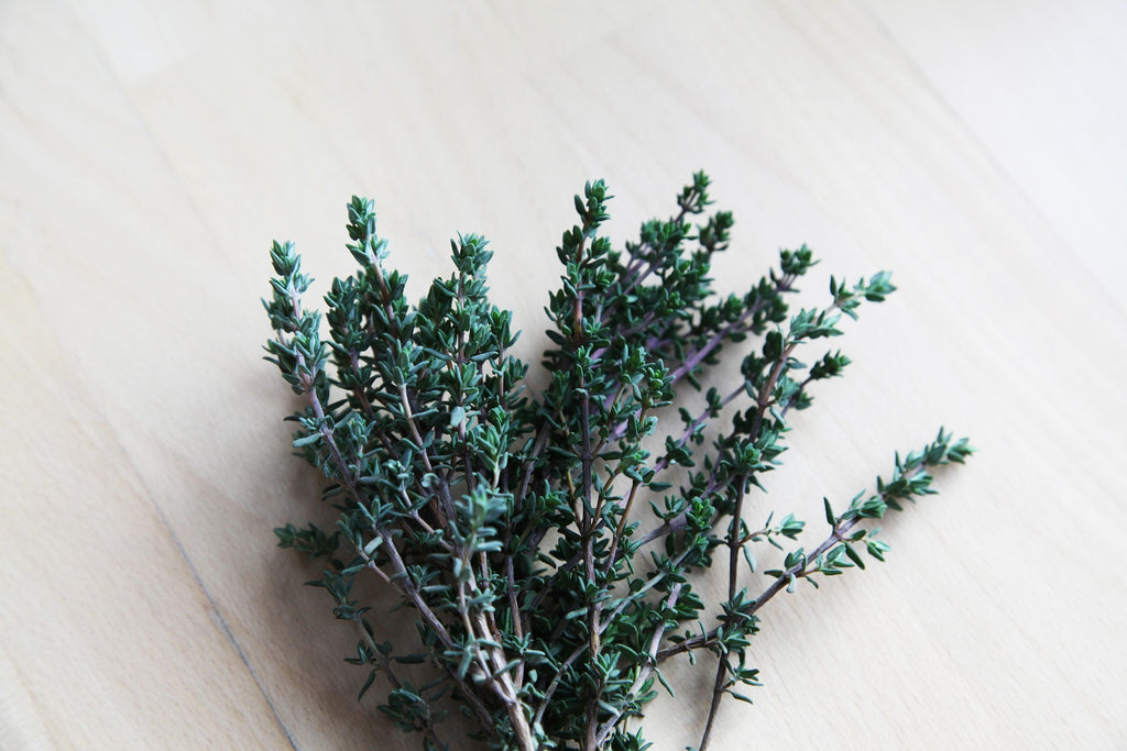 Moroccan Pashmina — Lavender Vanilla Oak Fragrance