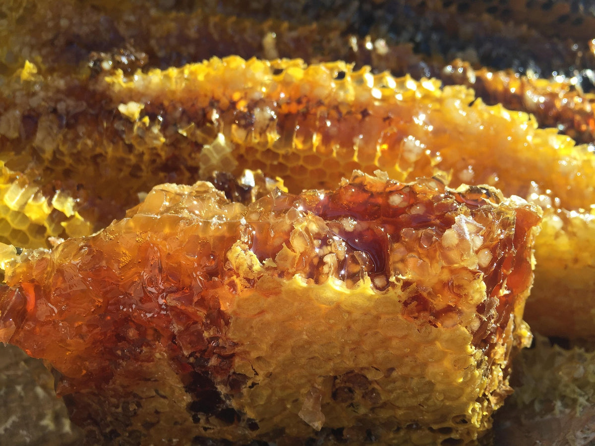 Oh, Honey! — Spiced Honey and Myrrh Candle
