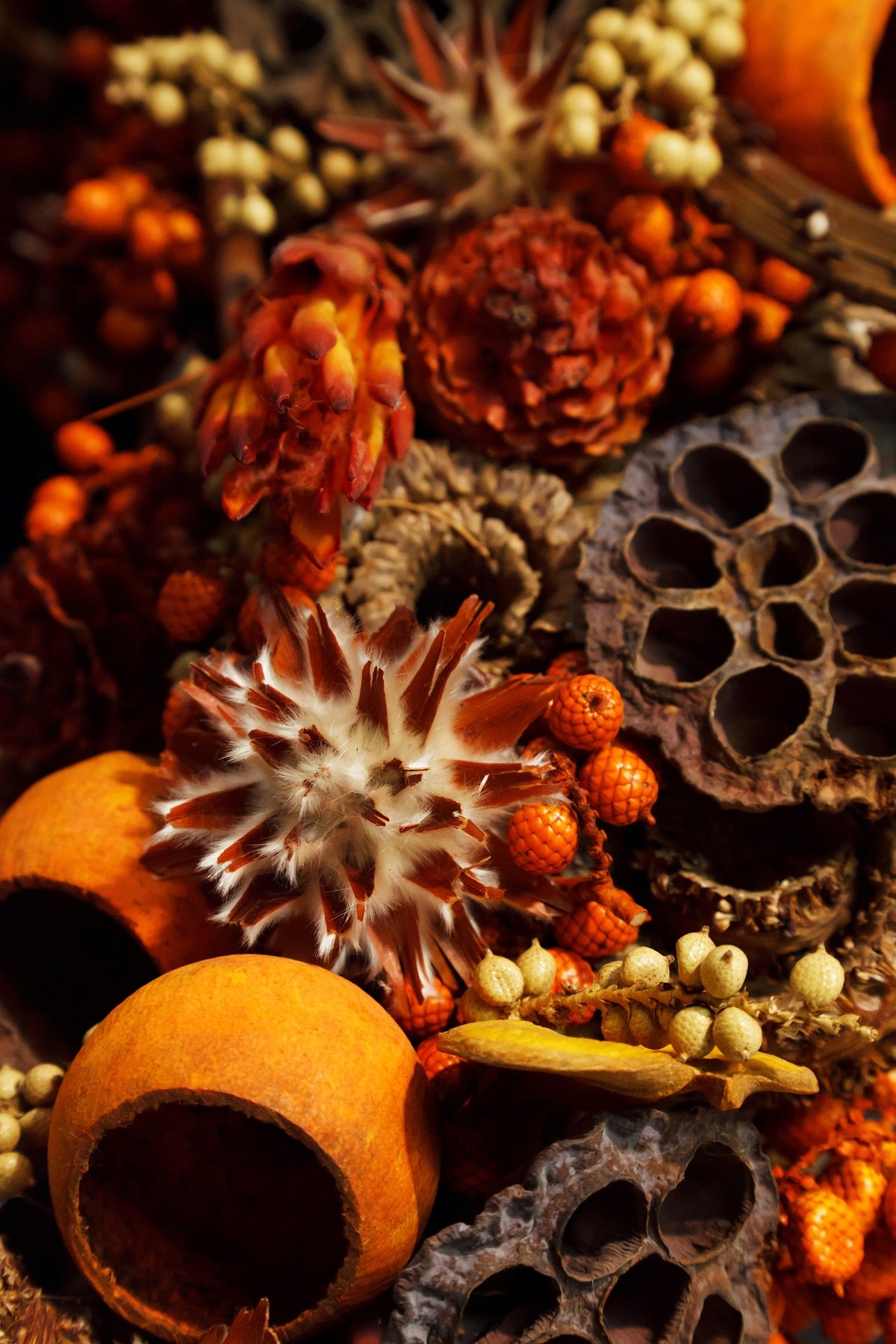 BOHO Stones — Bohemian Rose Fragrance