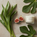 Tulipe & Figue — Tulip and Fig Fragrance