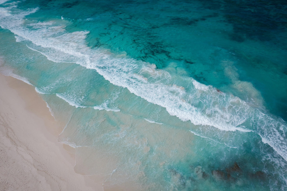 Adrift —Lavender Driftwood and Sea Minerals